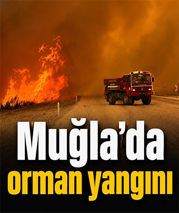 Muğla'da orman yangını