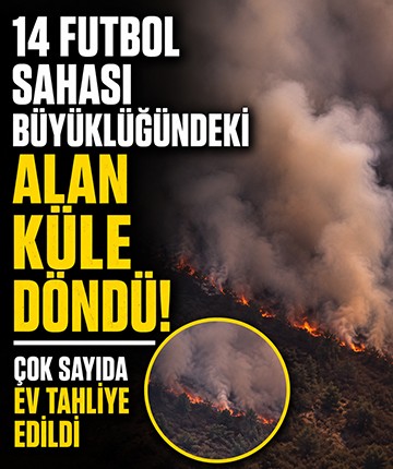 14 futbol sahası büyüklüğündeki alan küle döndü! Çok sayıda ev tahliye edildi