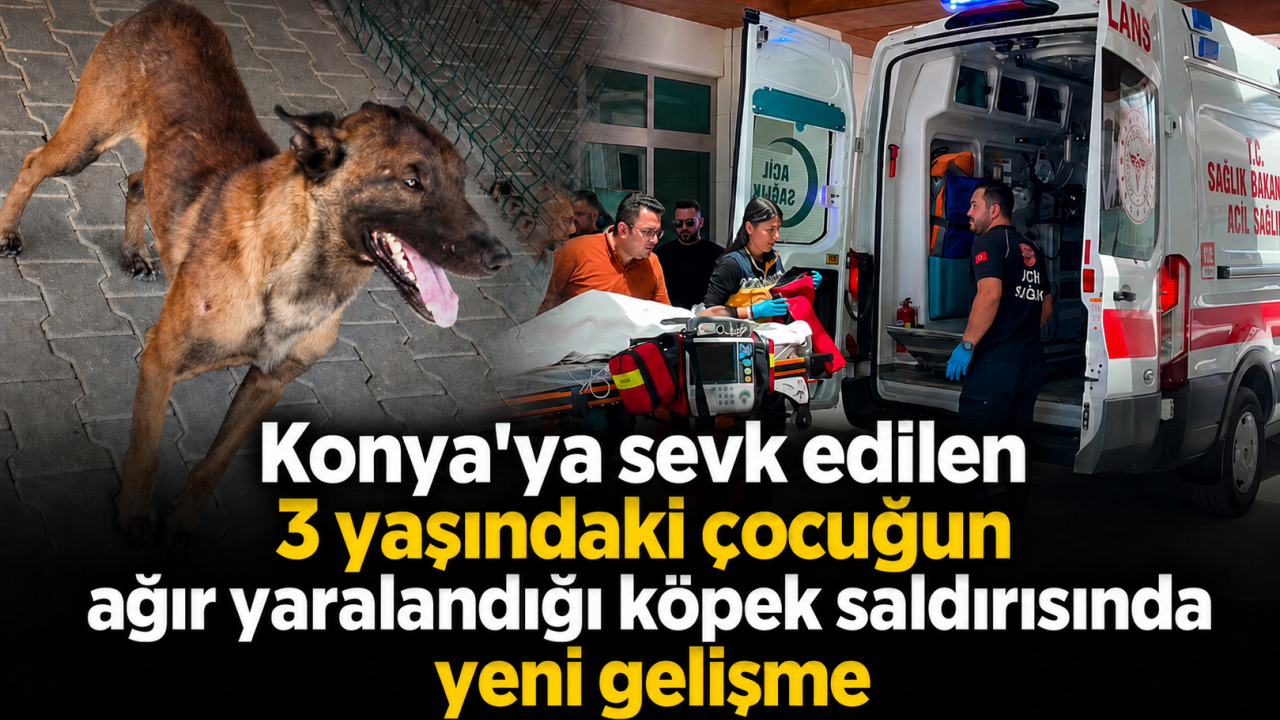 Konya’ya sevk edilen 3 yaşındaki çocuğun ağır yaralandığı köpek saldırısında yeni gelişme