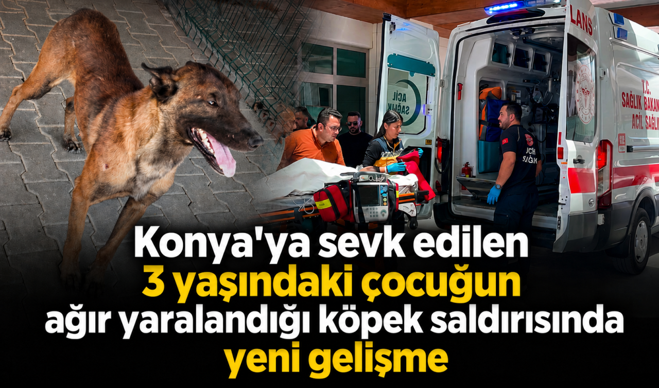Konya’ya sevk edilen 3 yaşındaki çocuğun ağır yaralandığı köpek saldırısında yeni gelişme