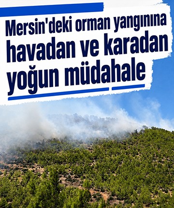 Mersin'deki orman yangınına havadan ve karadan yoğun müdahale