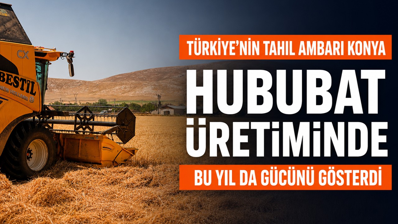 Türkiye'nin tahıl ambarı Konya, hububat üretiminde bu yıl da gücünü gösterdi