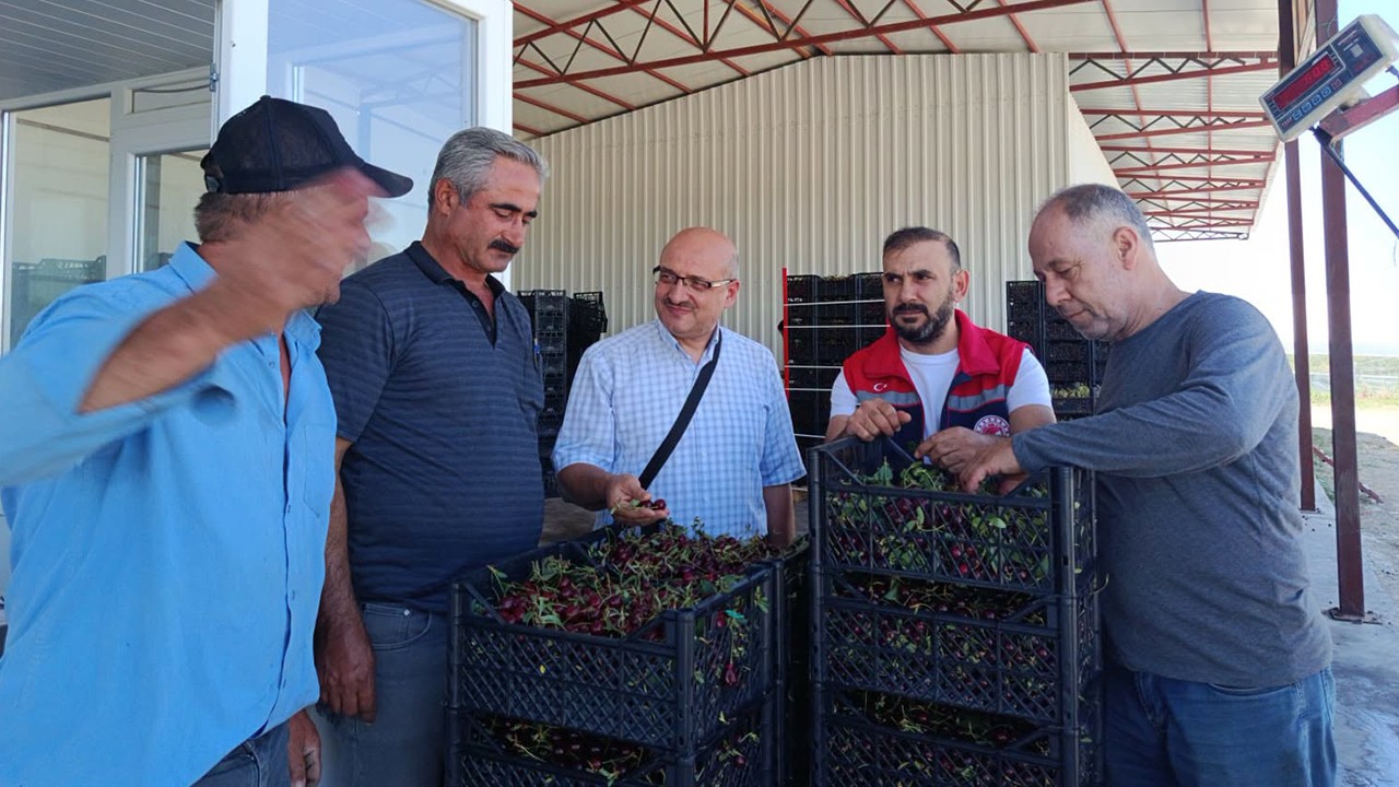 Akşehir'de vişne hasadı süreci değerlendirildi