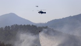 Bakan Yumaklı: Fethiye'deki orman yangını tamamen kontrol altına alındı