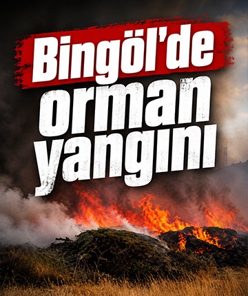 Bingöl'de orman yangını