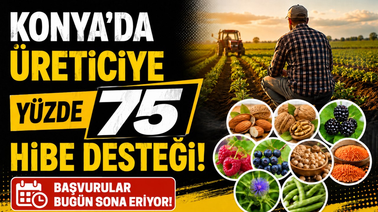 Konya’da üreticiye yüzde 75 hibe desteği! Başvurular bugün sona eriyor