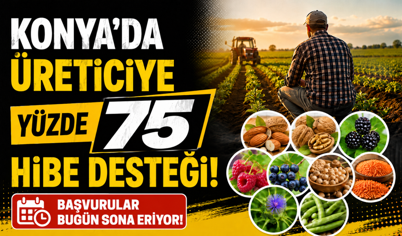 Konya’da üreticiye yüzde 75 hibe desteği! Başvurular bugün sona eriyor