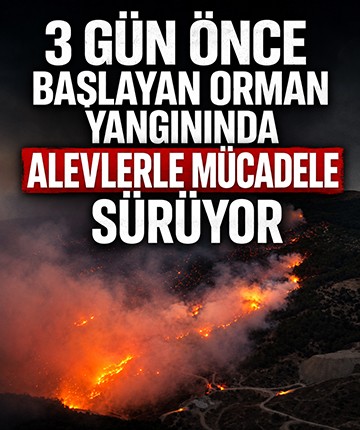 3 gün önce başlayan orman yangınında alevlerle mücadele sürüyor