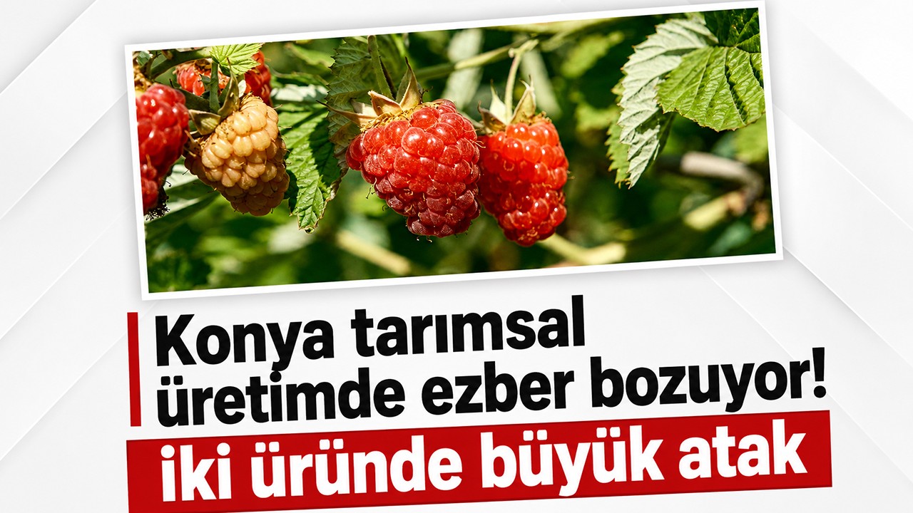 Konya tarımsal üretimde ezber bozuyor! İki üründe büyük atak