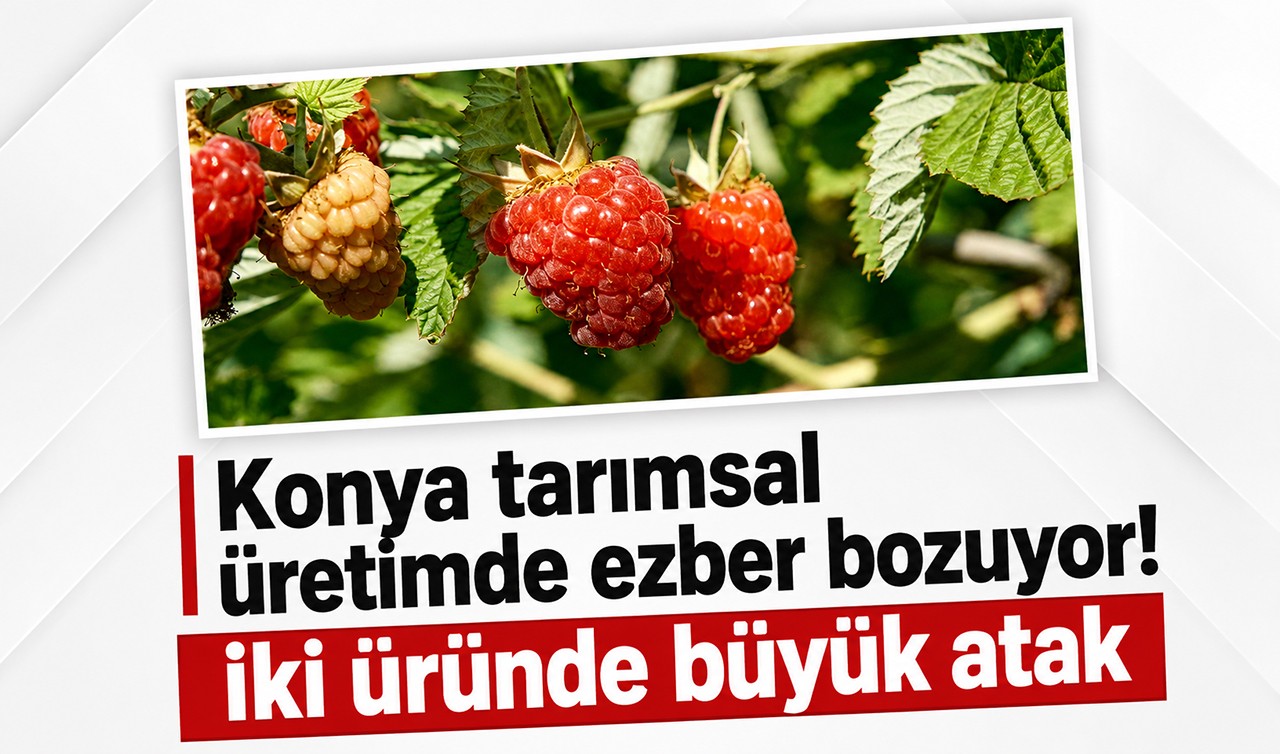 Konya tarımsal üretimde ezber bozuyor! İki üründe büyük atak