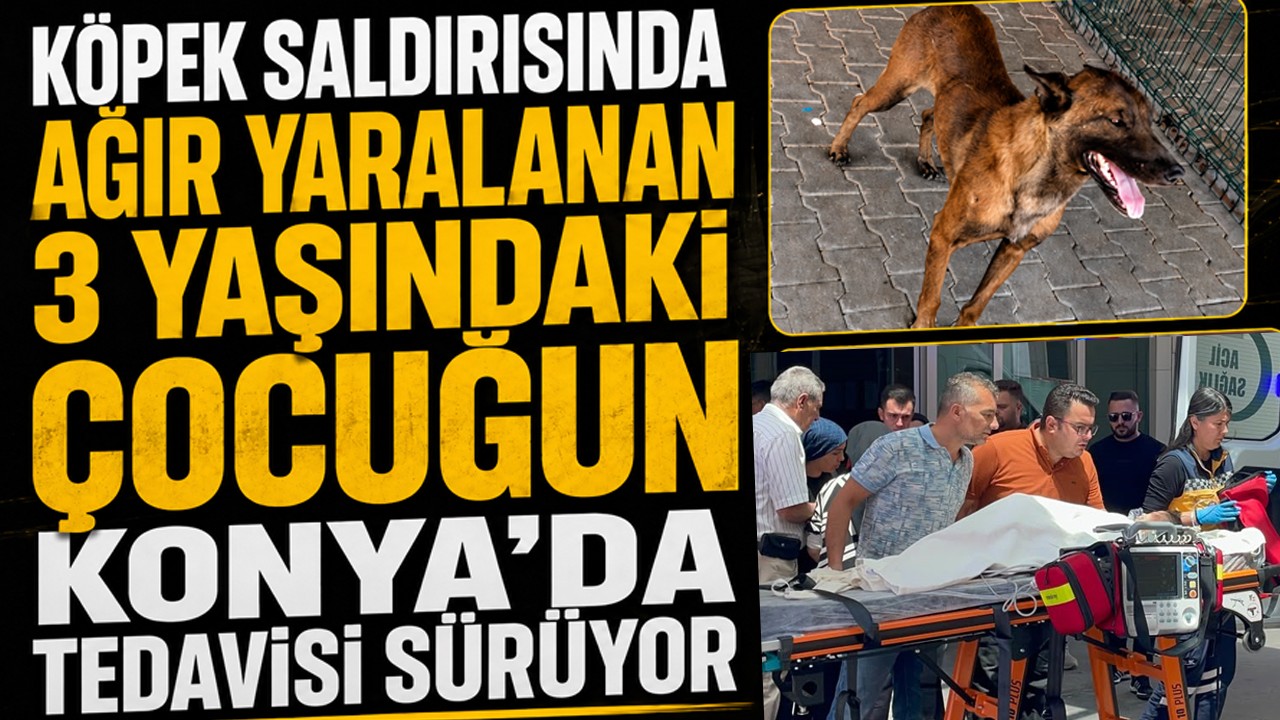 Köpek saldırısında ağır yaralanan 3 yaşındaki çocuğun Konya'da tedavisi sürüyor