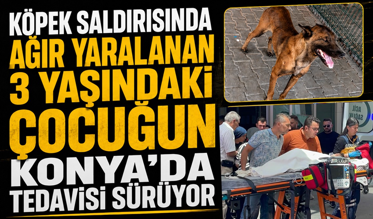 Köpek saldırısında ağır yaralanan 3 yaşındaki çocuğun Konya'da tedavisi sürüyor