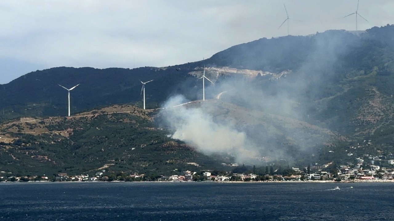 Marmara'da orman yangınına neden olan şüpheli gözaltına alındı