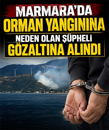 Marmara'da orman yangınına neden olan şüpheli gözaltına alındı