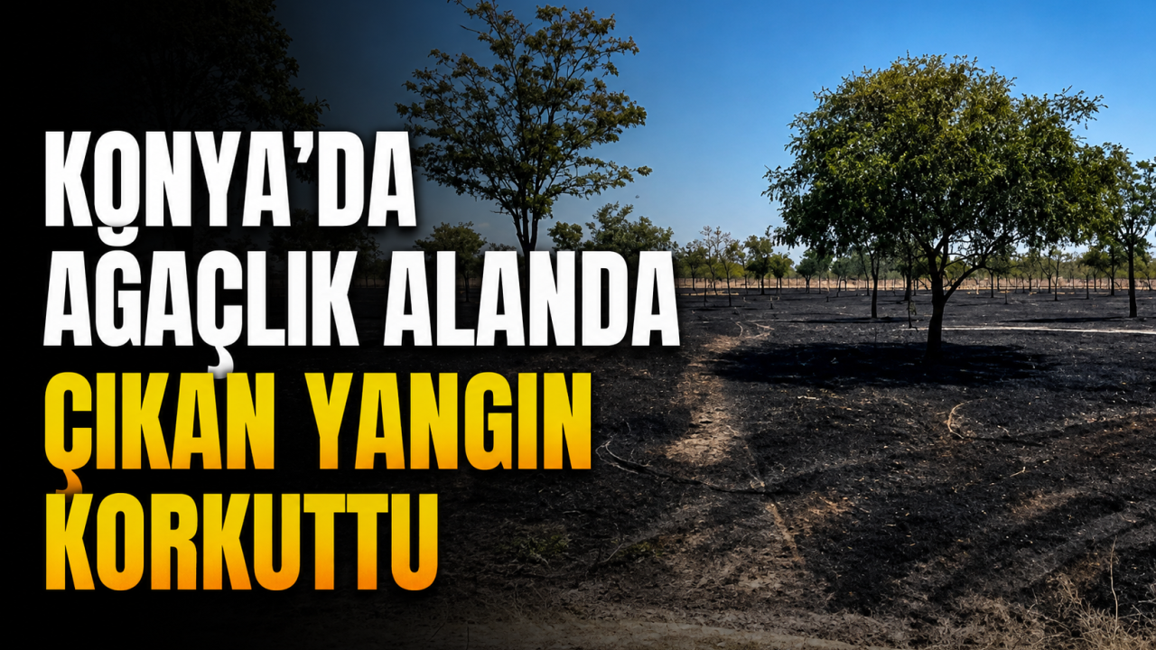 Konya'da ağaçlık alanda çıkan yangın korkuttu