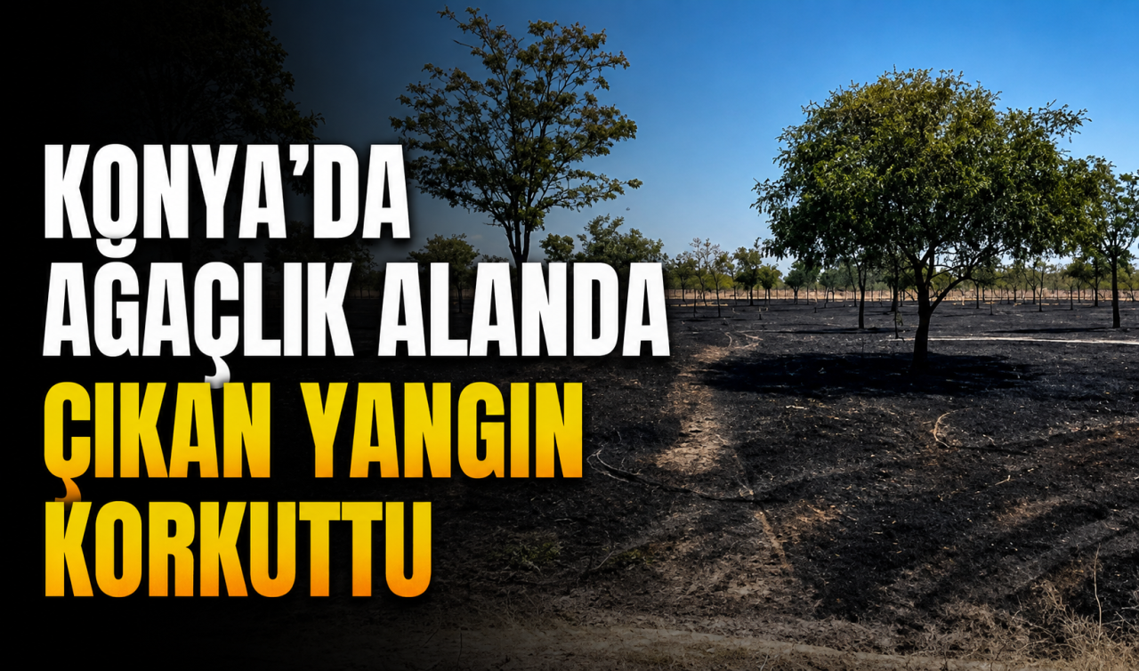 Konya'da ağaçlık alanda çıkan yangın korkuttu