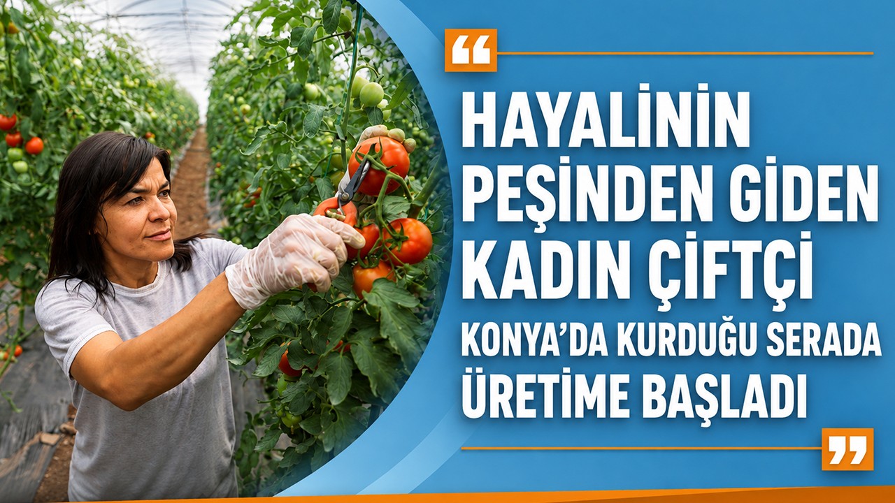 Hayalinin peşinden giden kadın çiftçi, Konya'da kurduğu serada üretime başladı