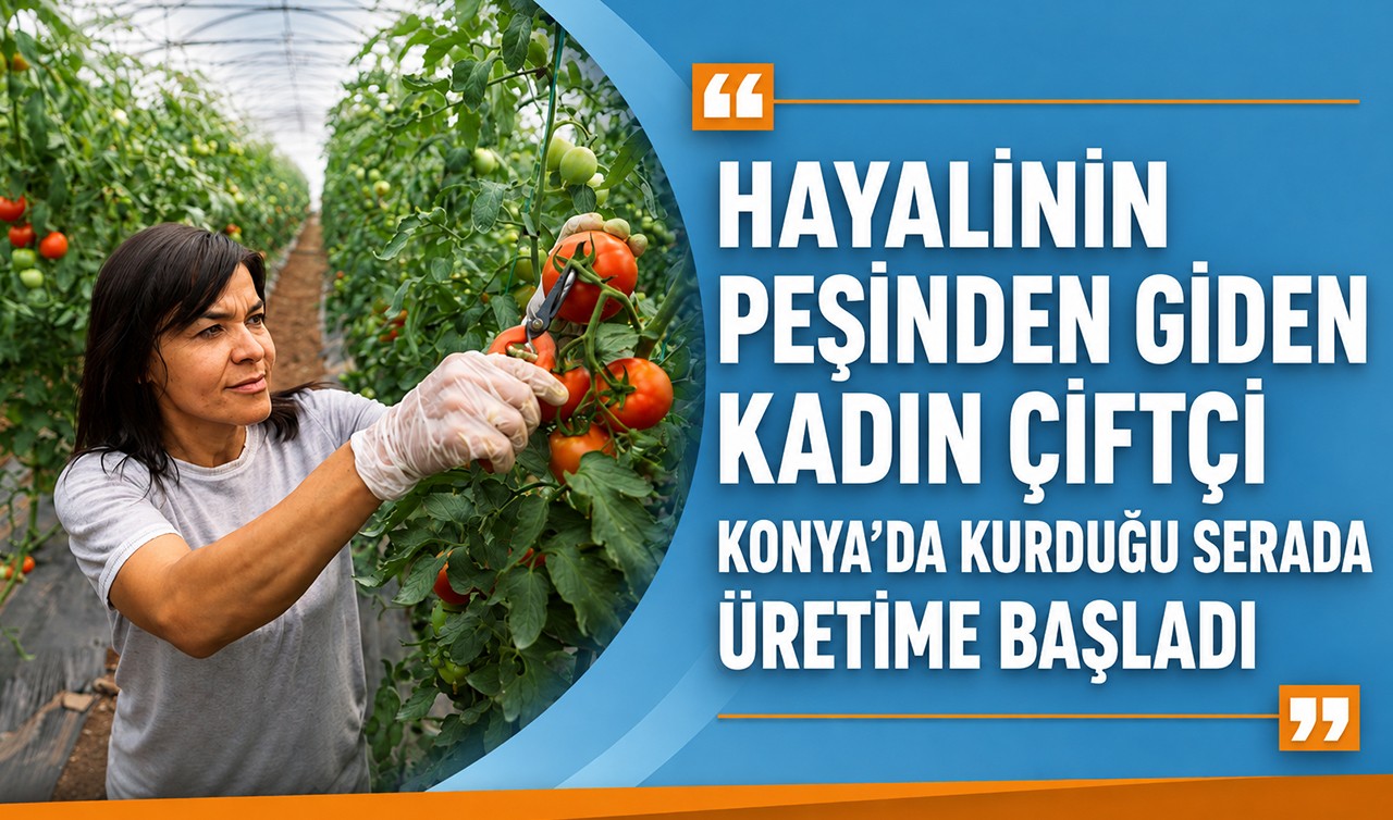 Hayalinin peşinden giden kadın çiftçi, Konya'da kurduğu serada üretime başladı