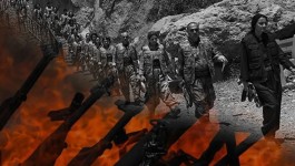 Çerçeve yasa imzaya açıldı: Teklifte hangi maddeler yer alıyor?