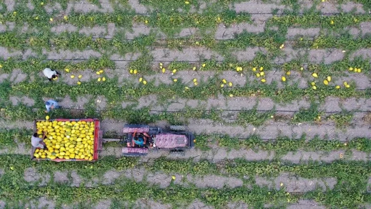 Bakan Yumaklı, 688 milyon 200 bin lira tarımsal destekleme ödemesinin yapılacağını bildirdi