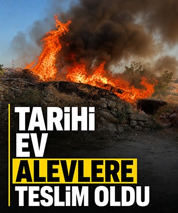 Tarihi ev alevlere teslim oldu