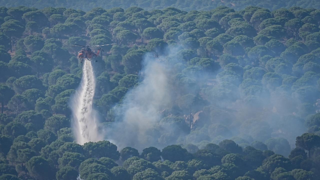 52 orman yangınına ilişkin soruşturma! 9 şüpheli tutuklandı