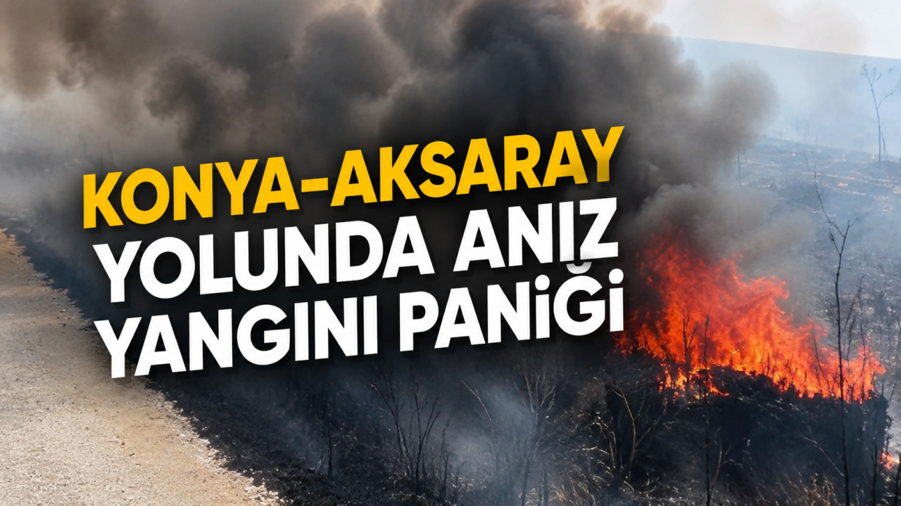 Konya-Aksaray yolunda anız yangını paniği