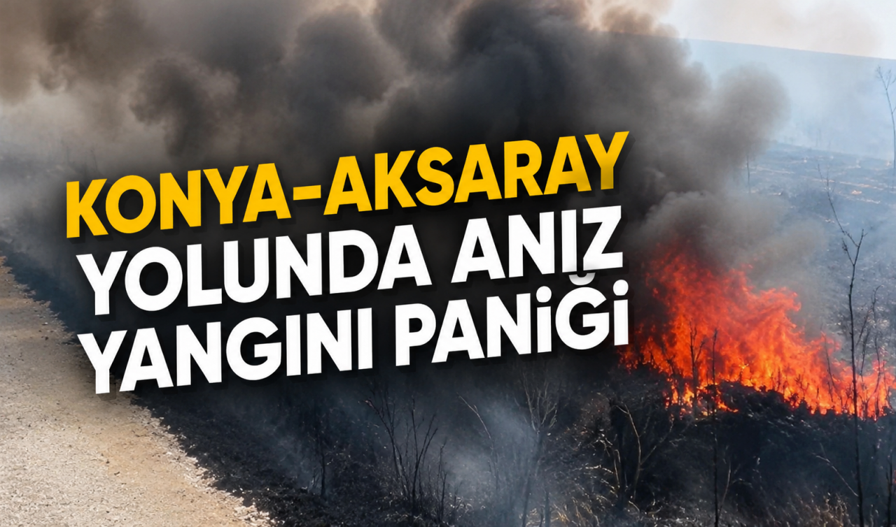 Konya-Aksaray yolunda anız yangını paniği