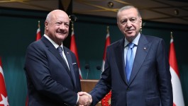 Cumhurbaşkanı Erdoğan: Avusturya ile önemli işbirliği potansiyeline sahibiz