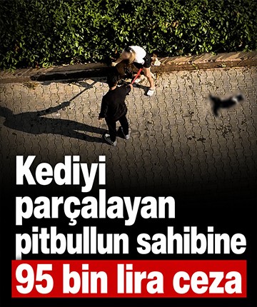 Kediyi parçalayan pitbullun sahibine 95 bin lira ceza