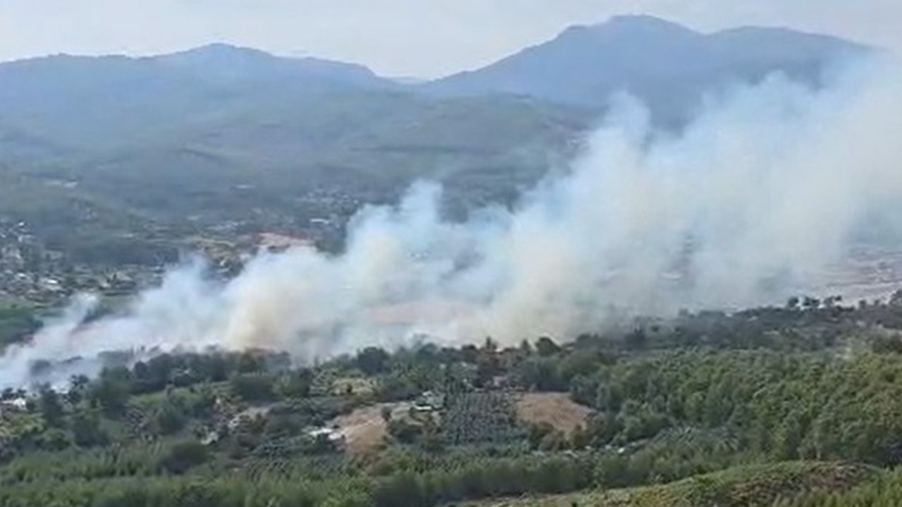Muğla'da orman yangını