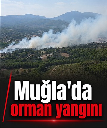 Muğla'da orman yangını