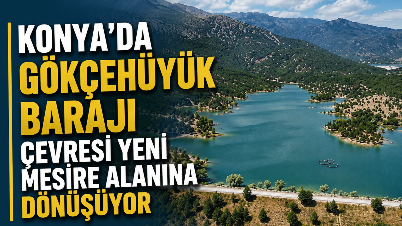 Konya'da Gökçehüyük Barajı çevresi yeni mesire alanına dönüşüyor