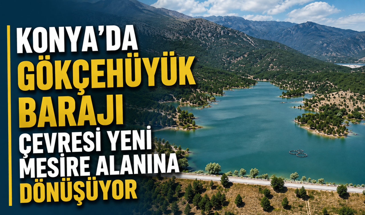 Konya'da Gökçehüyük Barajı çevresi yeni mesire alanına dönüşüyor