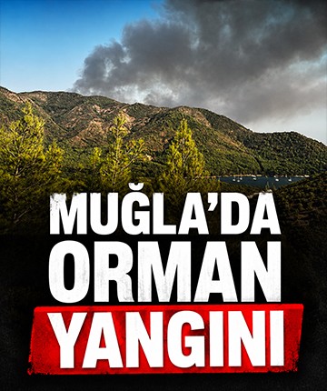 Muğla'da orman yangını