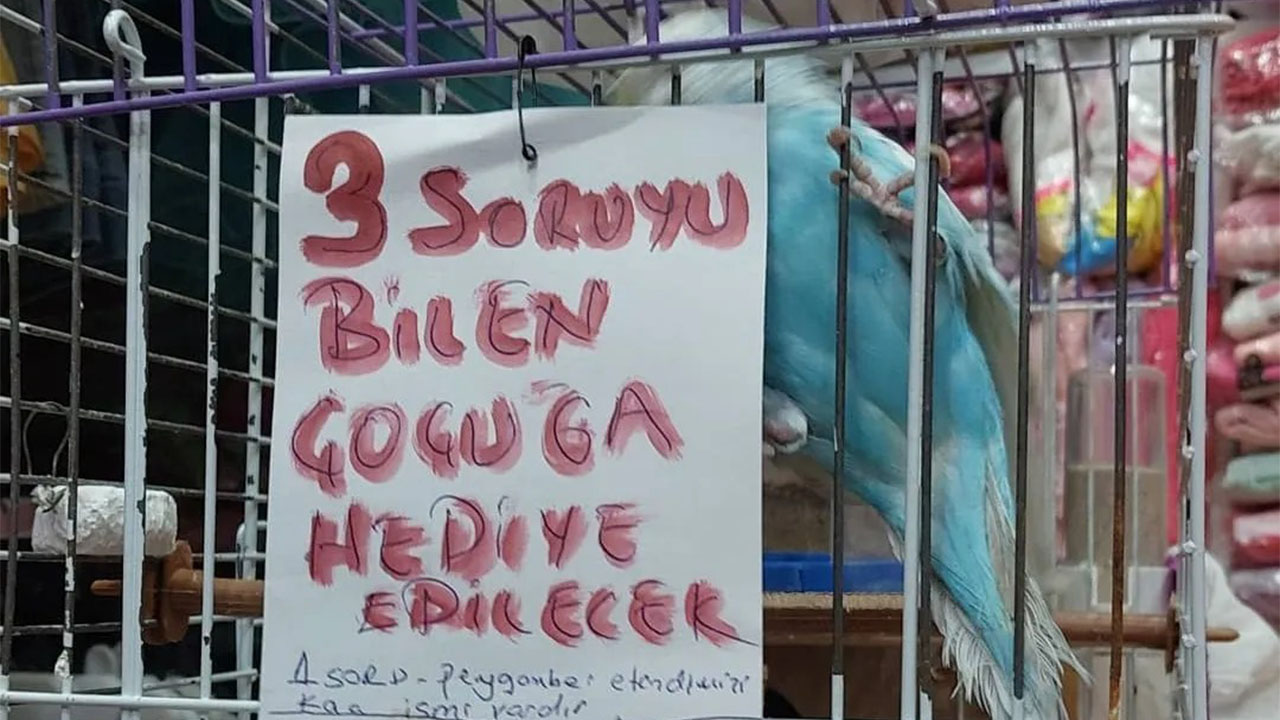 3 soruyu bilene kuş hediye